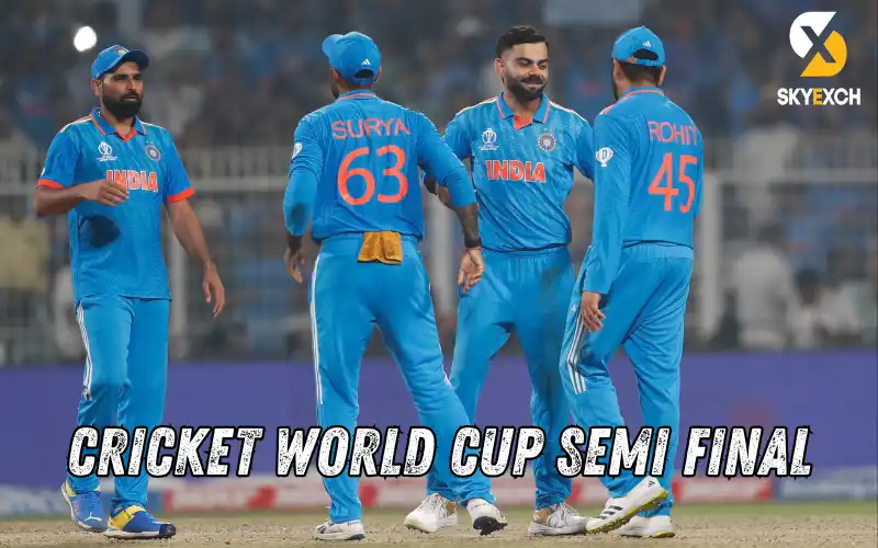 cricket world cup semi final