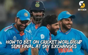 cricket world cup semi final