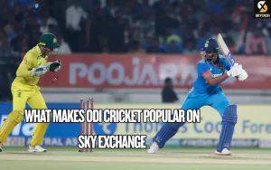 odi cricket