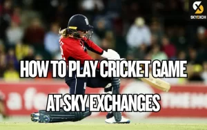 cricket game