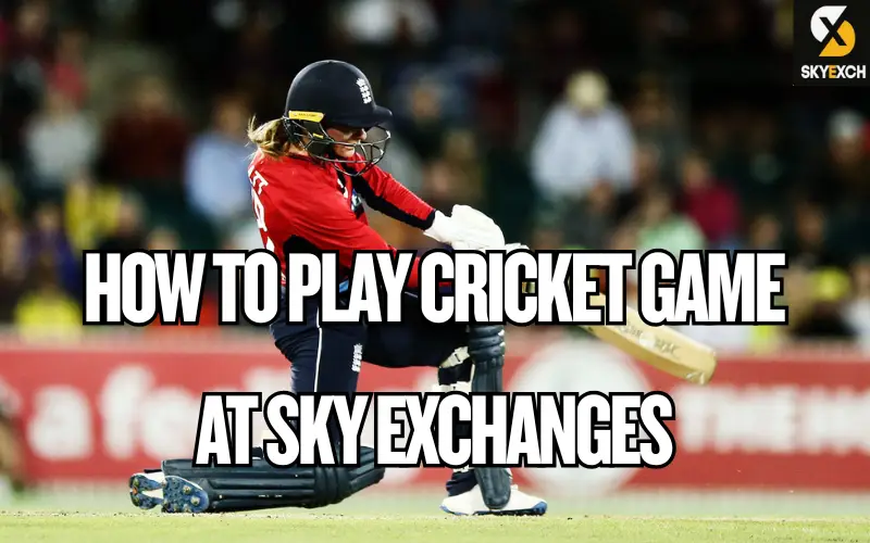 cricket game